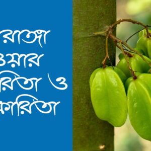 কামরাঙ্গা খাওয়ার উপকারিতা ও অপকারিতা, যে বিষয়গুলো না জানলে বিপদ