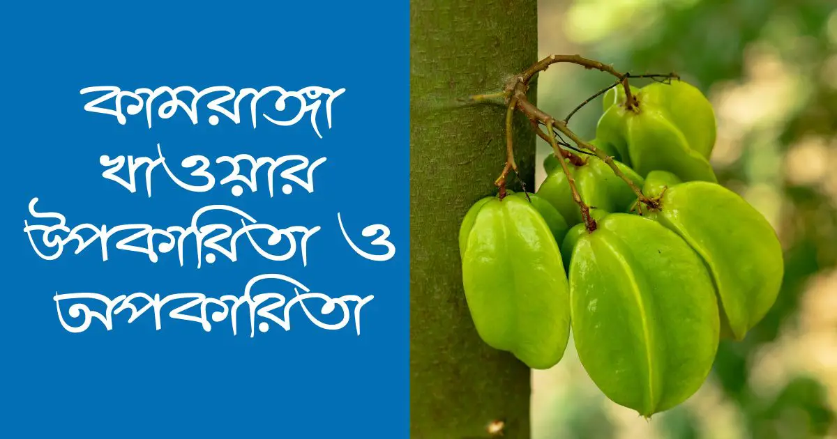 কামরাঙ্গা খাওয়ার উপকারিতা ও অপকারিতা, যে বিষয়গুলো না জানলে বিপদ