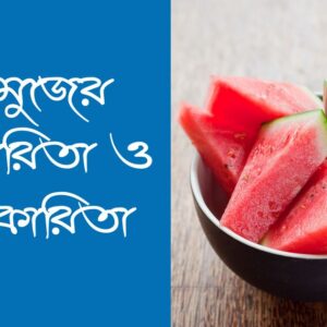 তরমুজের উপকারিতা ও অপকারিতা