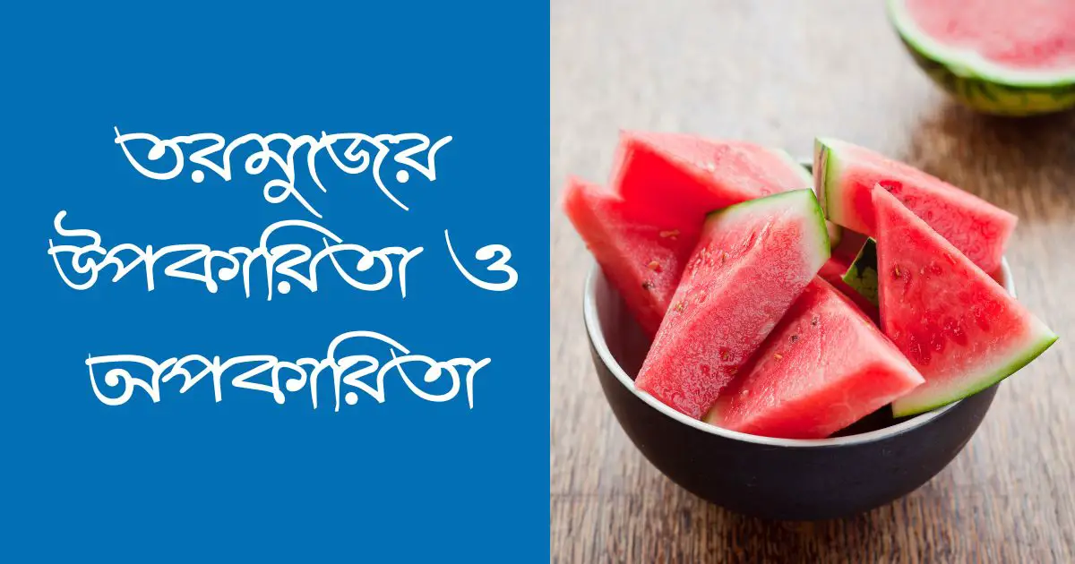 তরমুজের উপকারিতা ও অপকারিতা