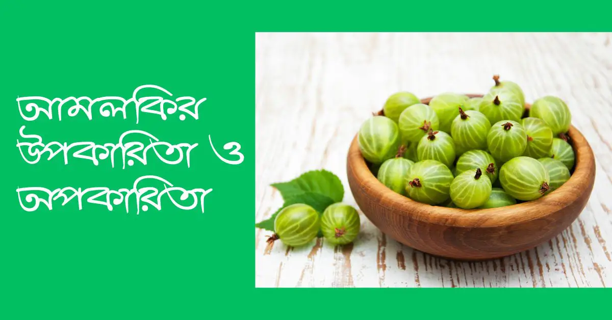 আমলকির উপকারিতা ও অপকারিতা