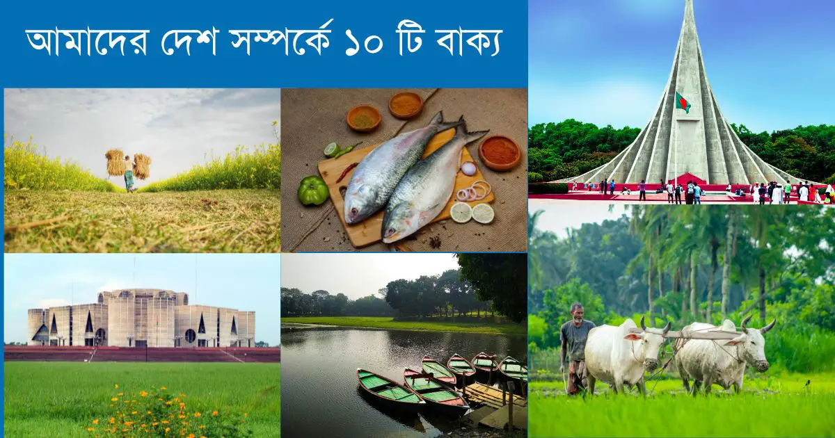 আমাদের দেশ সম্পর্কে ১০ টি বাক্য